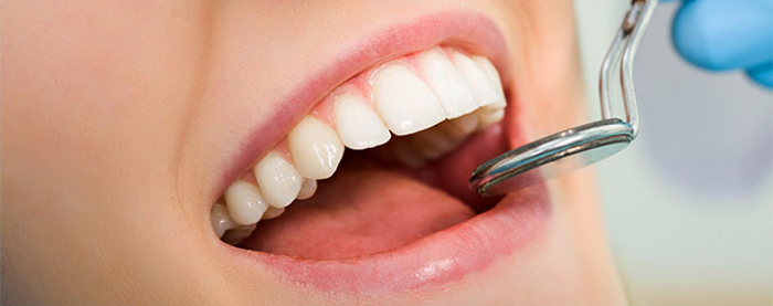 Dental Services in Northborough, MA
